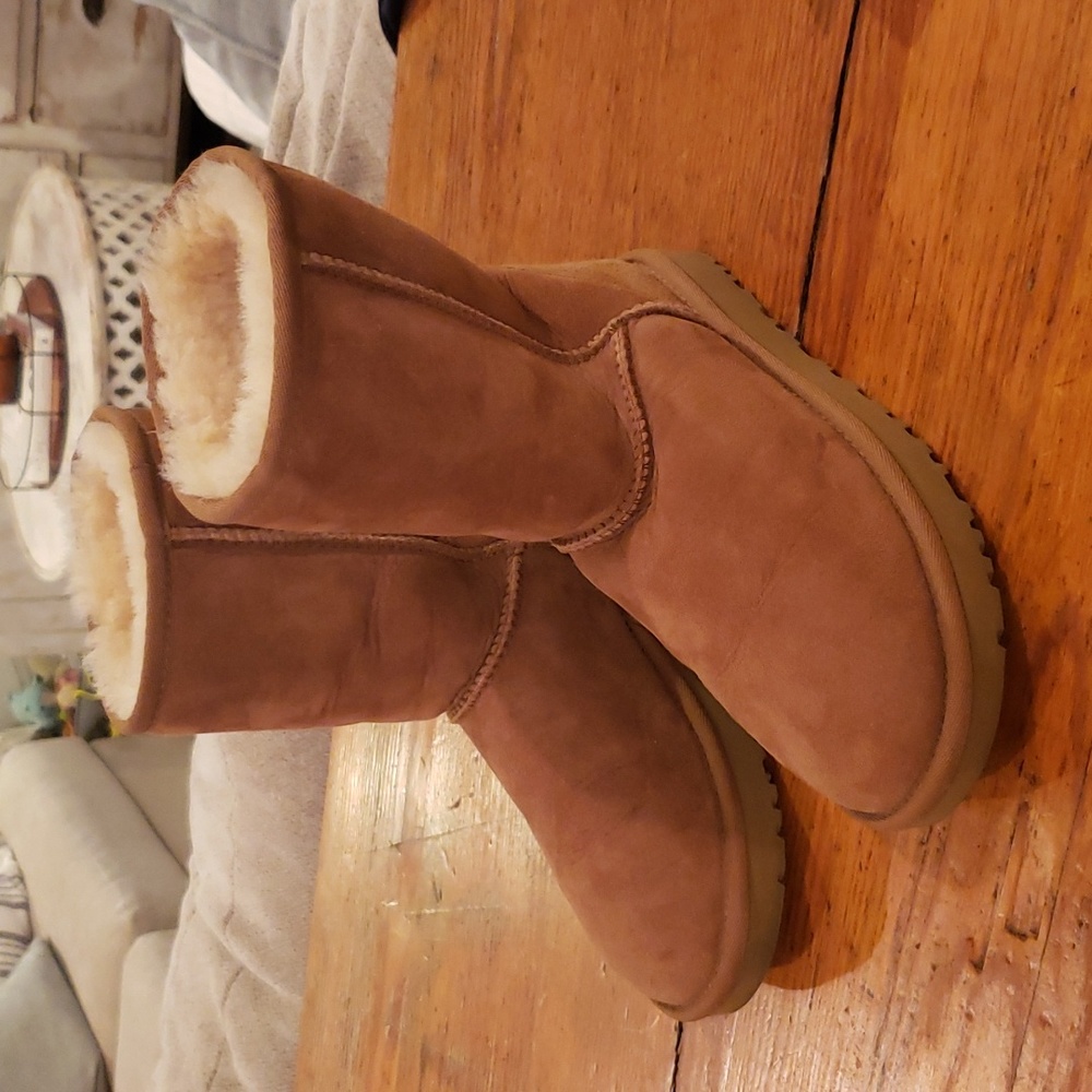 Ugg Chestnut